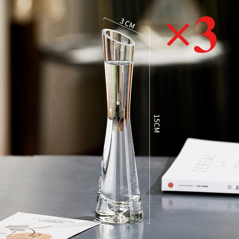 Creative European Style Transparent Glass Slanted Mouth Artistic Simple Vase Hydroponics Plant Flower Vasetable Home Decor