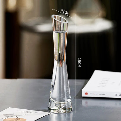 Creative European Style Transparent Glass Slanted Mouth Artistic Simple Vase Hydroponics Plant Flower Vasetable Home Decor