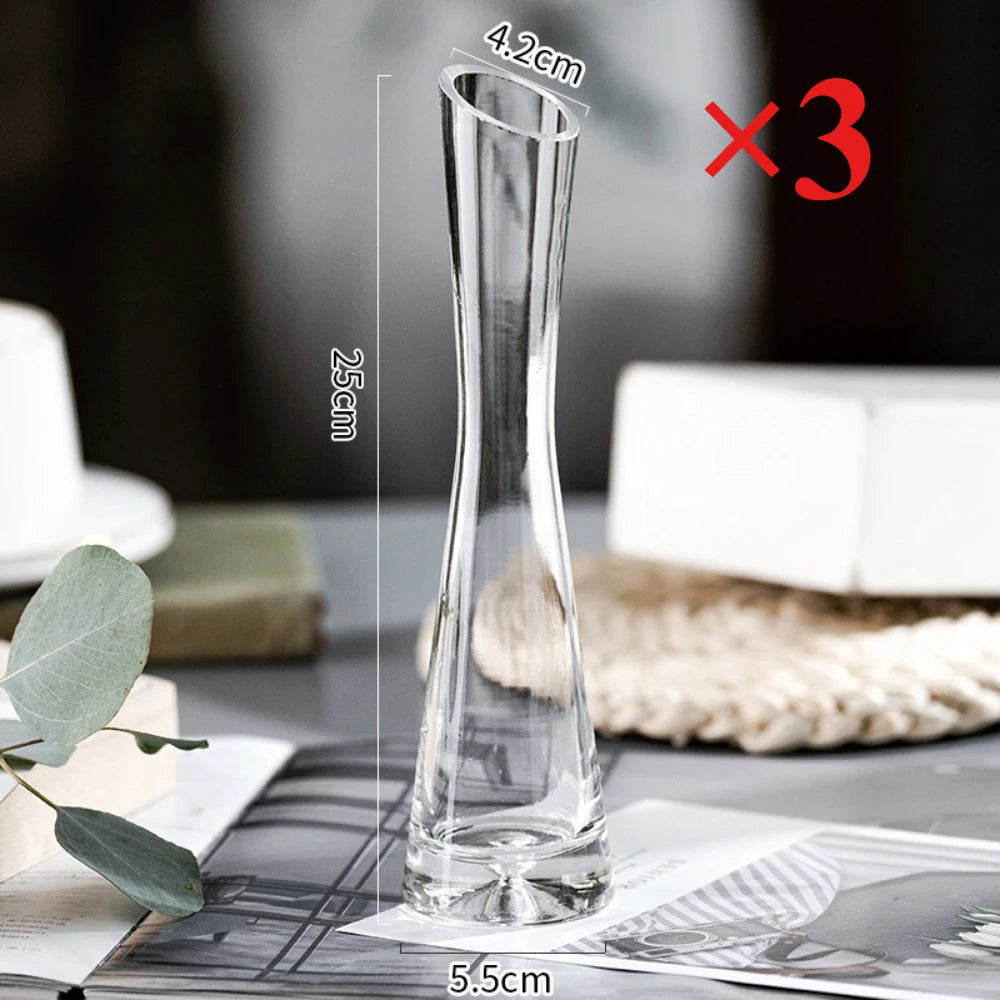 Creative European Style Transparent Glass Slanted Mouth Artistic Simple Vase Hydroponics Plant Flower Vasetable Home Decor
